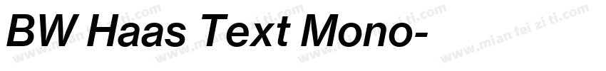 BW Haas Text Mono字体转换